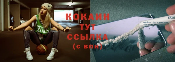 мяу мяу мука Аркадак