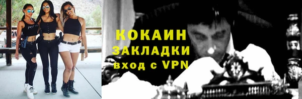 шишки Армянск