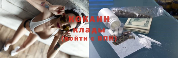 шишки Армянск