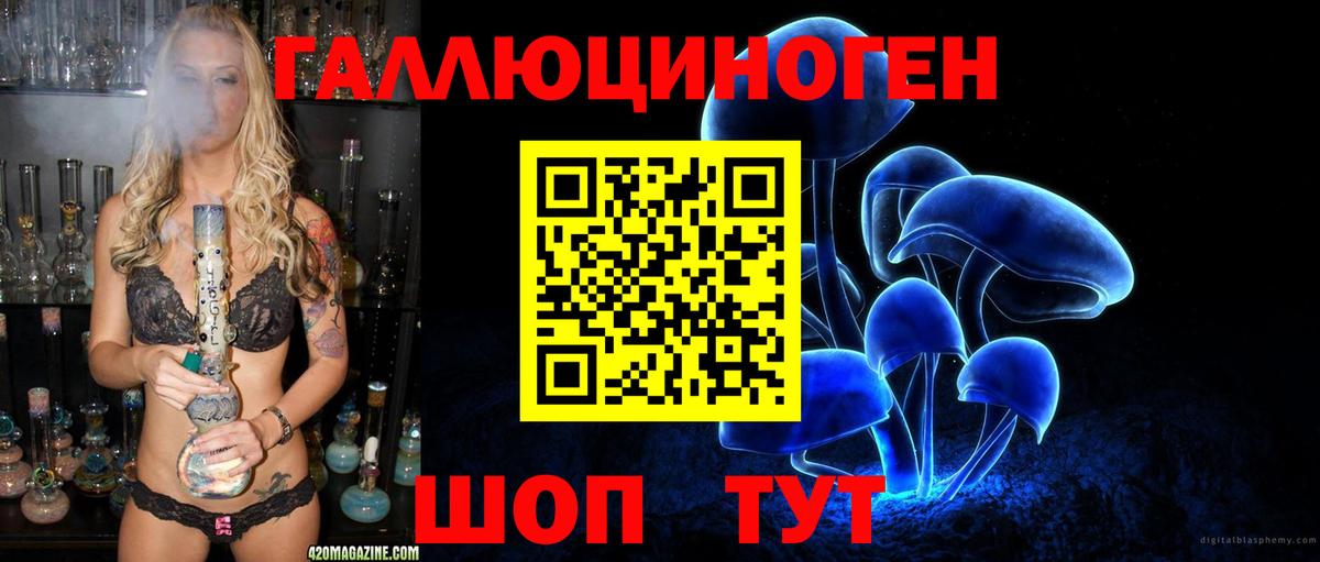 Можга  Псилоцибиновые грибы мухоморы  Псилоцибиновые грибы Psilocybe  Вход с VPN 